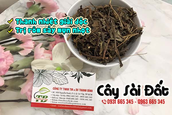 cây sài đất thảo dược thanh bình