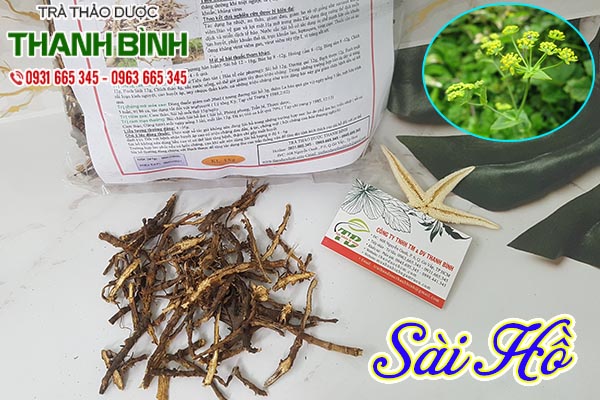 sài hồ thảo dược thanh bình