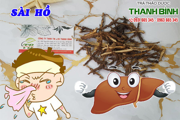 sài hồ tại thảo dược Thanh Bình
