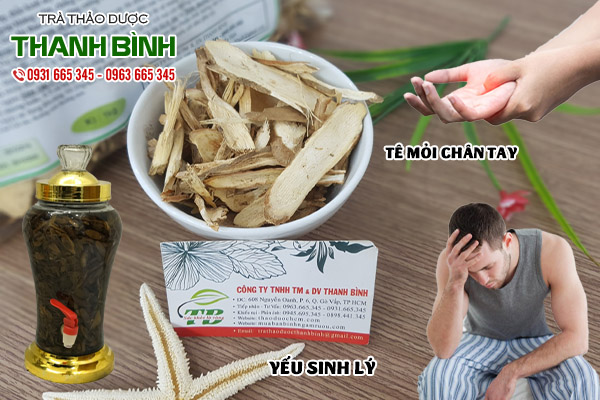 sâm cau tại thảo duọc thanh bình