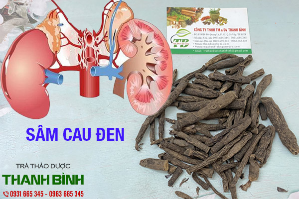 sâm cau đen thảo dược thanh bình