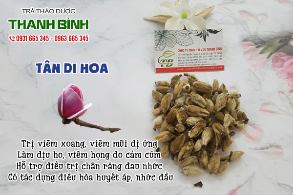 tân di hoa tại thảo dược Thanh Bình