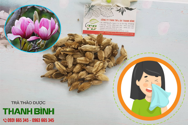 tân di hoa tại thảo dược Thanh Bình