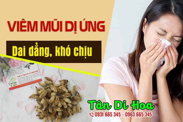 tân di hoa thảo dược thanh bình