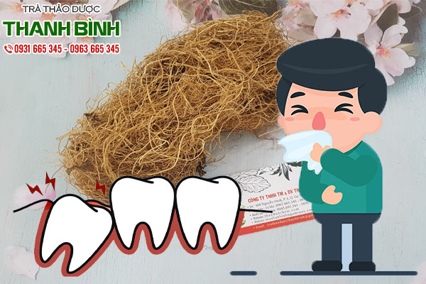 tế tân tại thảo dược Thanh Bình