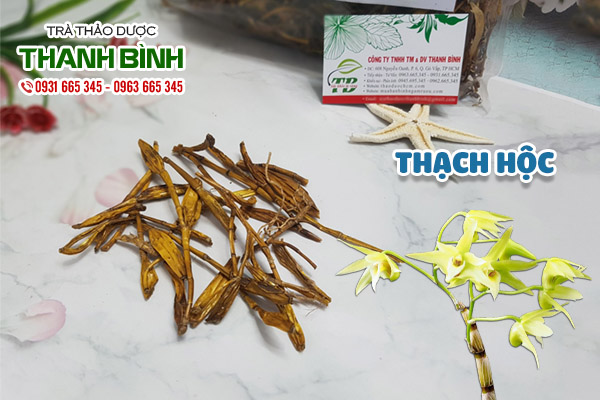 thạch hộc tại thảo dược Thanh Bình