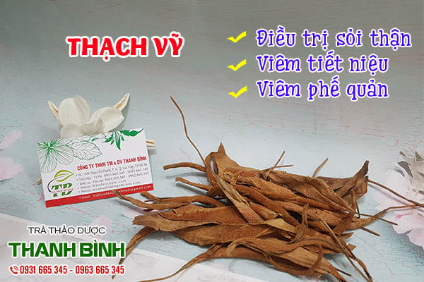 thạch vỹ thảo dược thanh bình