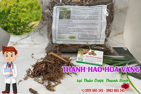 Thanh hao hoa vàng Thảo Dược Thanh Bình