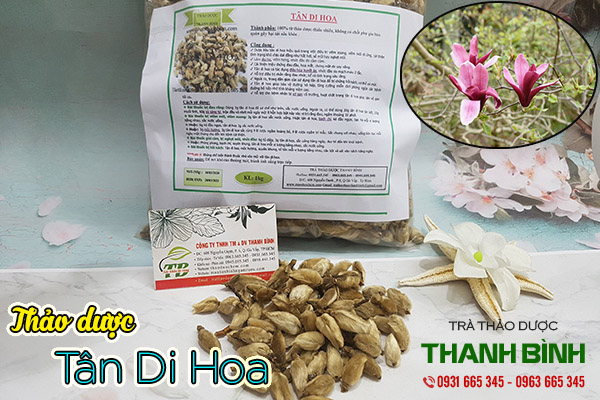 tân di hoa thảo dược thanh bình