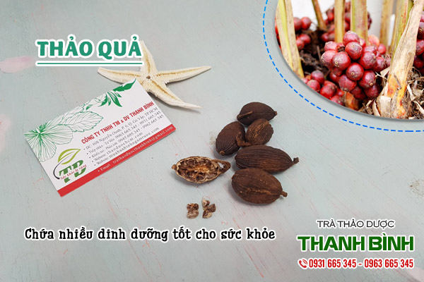  thảo quả tại thảo dược Thanh Bình