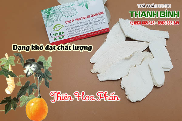 thiên hoa phấn thảo dược thanh bình