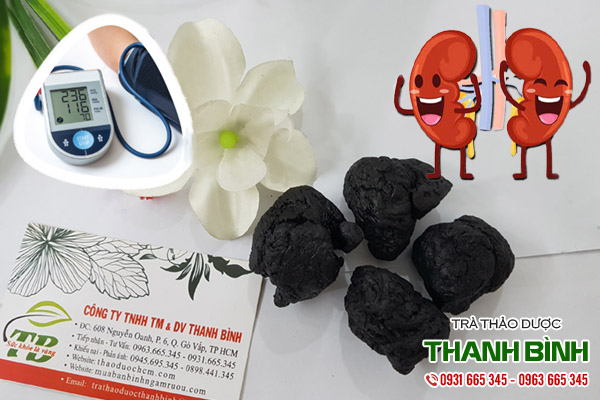 thục địa tại thảo dược Thanh Bình