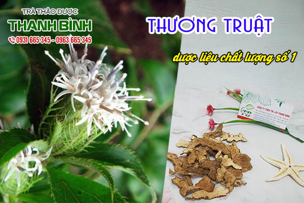 thương truật thảo dược thanh bình