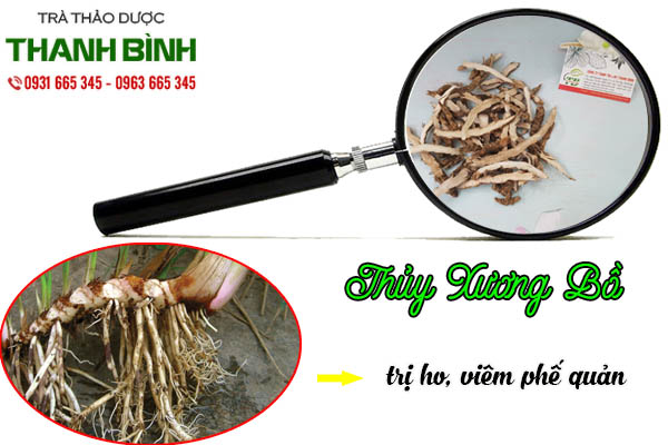 thủy xương bồ thảo dược thanh bình