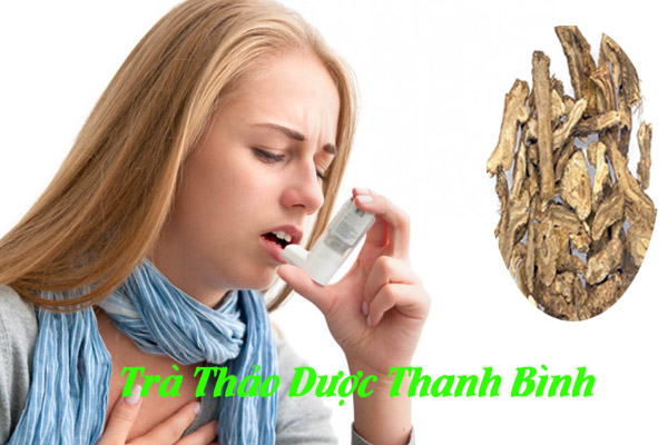 tiền hồ tại thảo dược Thanh Bình