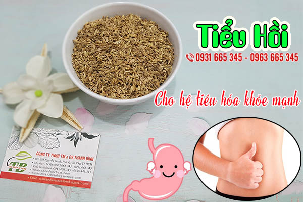 tiểu hồi thảo dược thanh bình