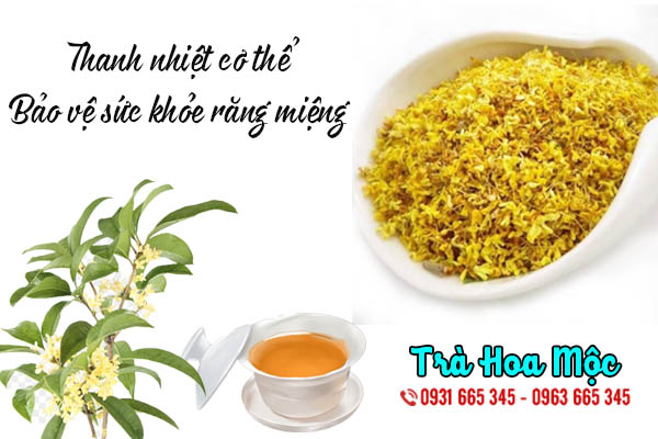 trà hoa mộc thảo dược thanh bình