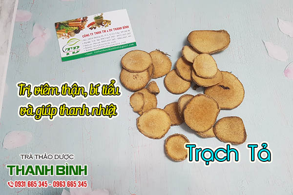 trạch tả thảo dược thanh bình