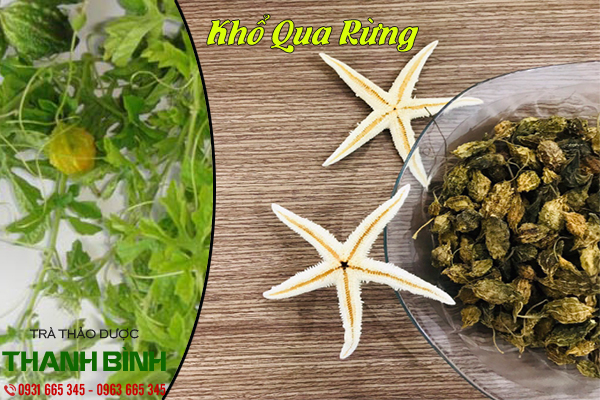 khổ qua rừng thảo dược thanh bình