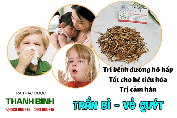 trần bì thảo dược thanh bình