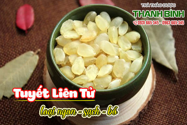 tuyết liên tử thảo dược thanh bình