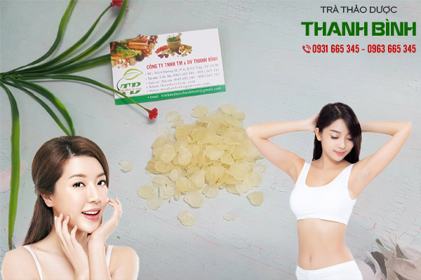 tuyết liên tử tại thảo dược Thanh Bình