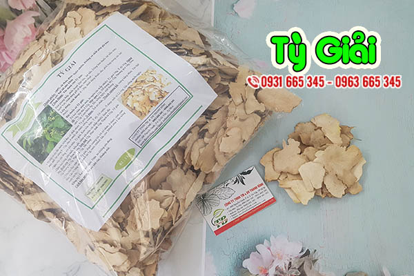 tỳ giải thảo dược thanh bình