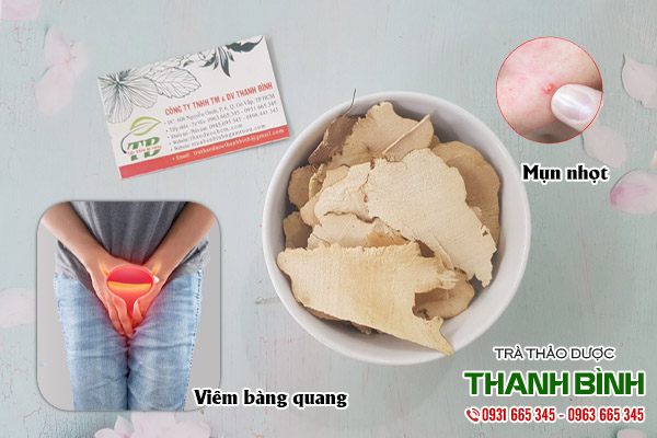 tỳ giải tại thảo dược Thanh Bình