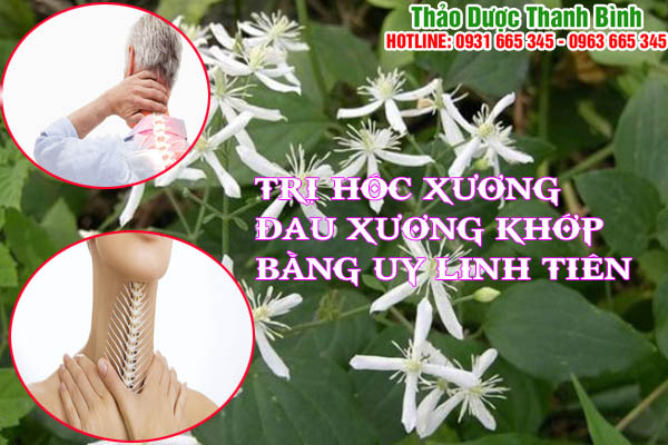 uy linh tiên tại thảo dược thanh bình