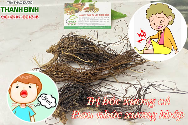 uy linh tiên thảo dược Thanh Bình