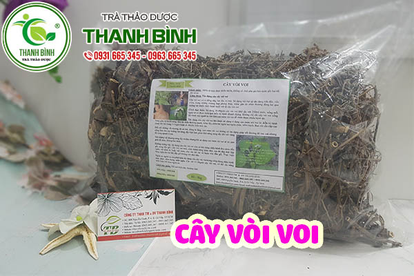 cây vòi voi thảo dược thanh bình