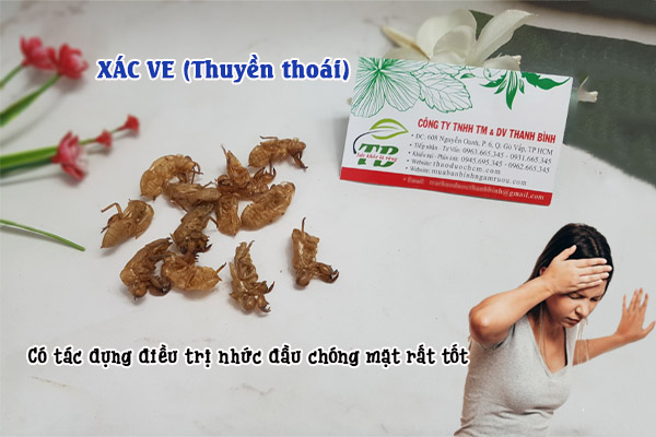 Xác ve tại thảo dược Thanh Bình