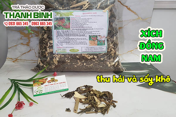 xích đông nam thảo dược thanh bình