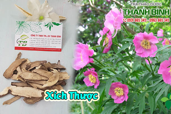 xích thược thảo dược thanh bình