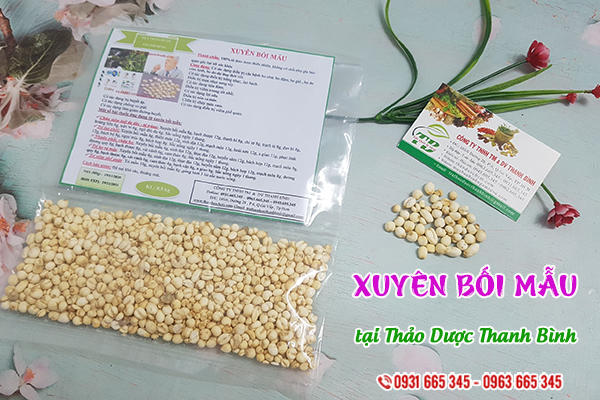 Xuyên bối mẫu Thảo Dược Thanh Bình