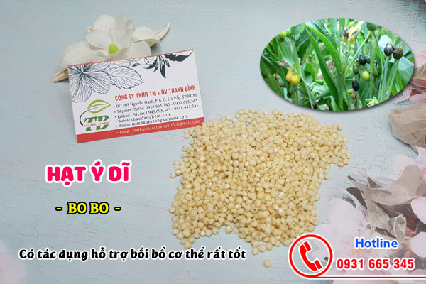 hạt ý dĩ tại thảo dược Thanh Bình