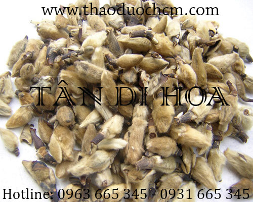 địa chỉ bán tân di hoa giúp trị viêm xoang viêm mũi uy tín chất lượng nhất