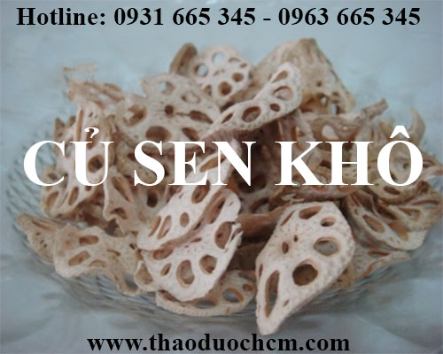Mua bán củ sen khô tại huyện sóc sơn rất tốt trong việc giúp an thần 