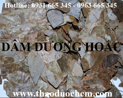 Mua bán dâm dương hoắc tại huyện ứng hòa có công dụng tráng dương bổ thận