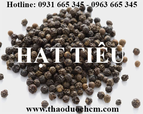 Mua bán hạt tiêu tại ninh thuận có tác dụng giảm cân chống béo phì