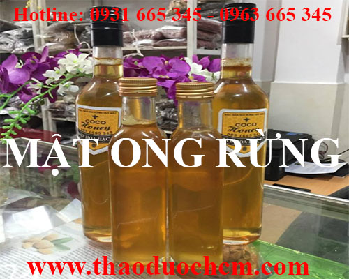 Mua bán mật ong rừng tại hà nội uy tín chất lượng tốt nhất
