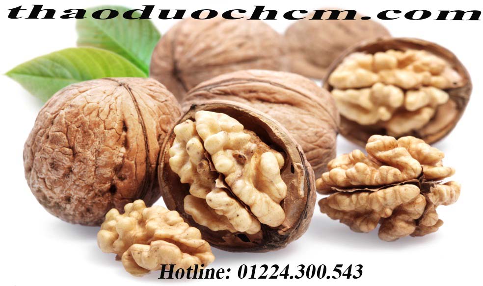 Mua quả óc chó ở đâu tại tp hcm ???