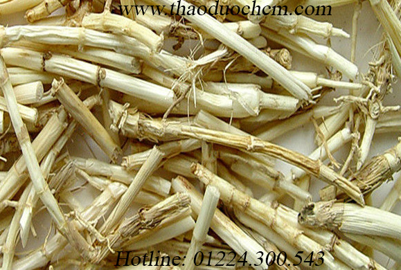 Mua bán rễ cỏ tranh tại quận bình thạnh | rễ cỏ tranh tại bình thạnh
