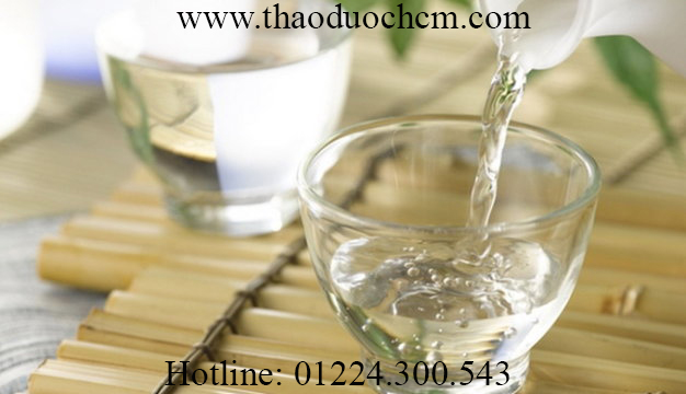 Mua bán rượu trắng tại tphcm dùng để ngâm thuốc tốt nhất