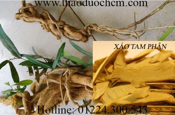 Mua bán xáo tam phân tại bình dương giúp điều trị ung thư phổi hiệu quả