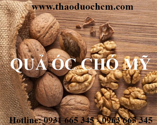Mua bán quả óc chó tại quận ba đình giúp phòng chống ung thư tốt nhất