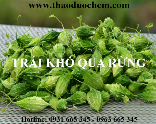 Mua bán khổ qua rừng tại quận hoàn kiếm dùng để chế biến các món ăn