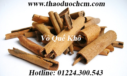 Mua vỏ quế bột quế ở đâu tại tp hcm ???