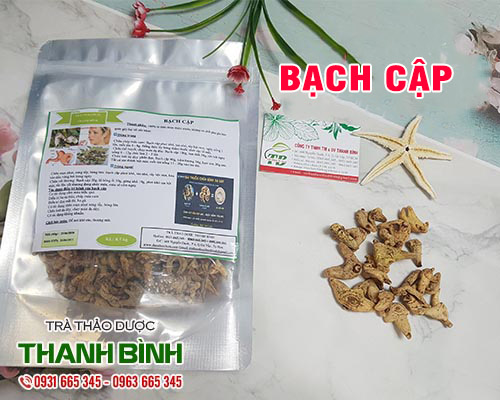 Tác dụng của bạch cập trong việc cầm máu do ho ra máu hiệu quả nhất