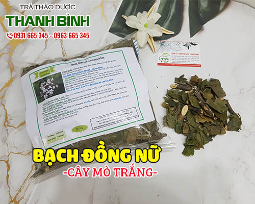 Cách sử dụng bạch đồng nữ (mò trắng) trong điều trị mụn nhọt, chóc lở đầu